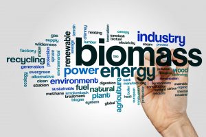 biomass
